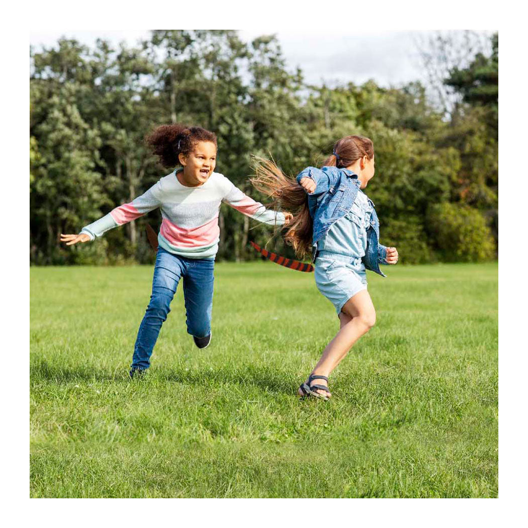 Van manen play today animal tails tag, 6 tails