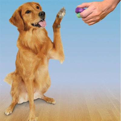 Clik-R PetSafe Clicker til træning