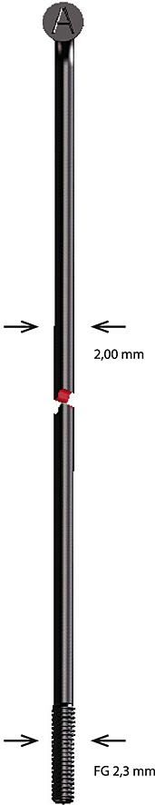 Alpina eger sst 2x mm b