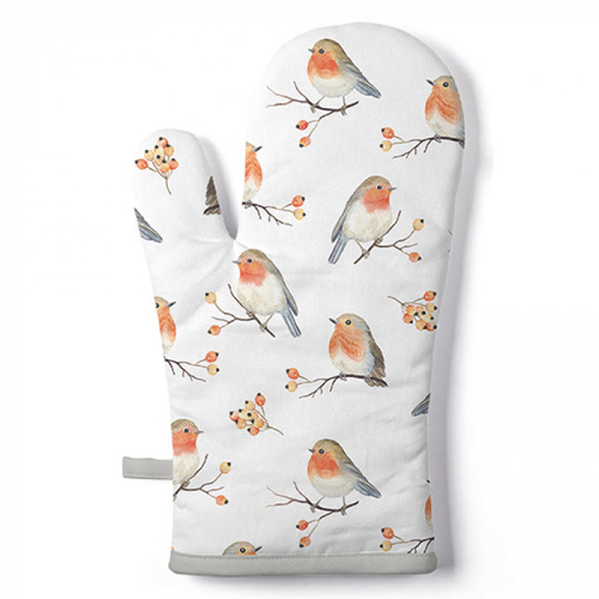 Ambiente ovnhandske robin familie