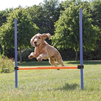 Trixie hund aktivitet agility hurdle blå orange