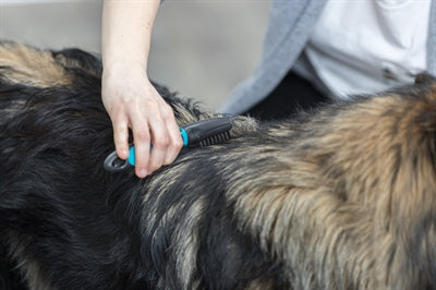 Trixie fur defelter buede tænder
