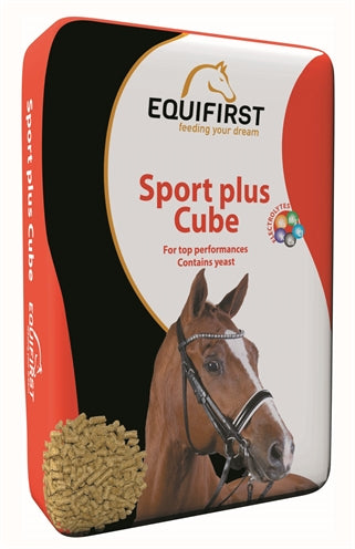Equifirst Sport plus terning