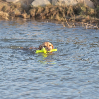 Trixie hundeaktivitet møl-aqua apportflyder limegrøn