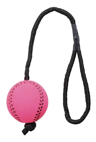 Trixie sportsbold på reb skumgummi flydende assorteret