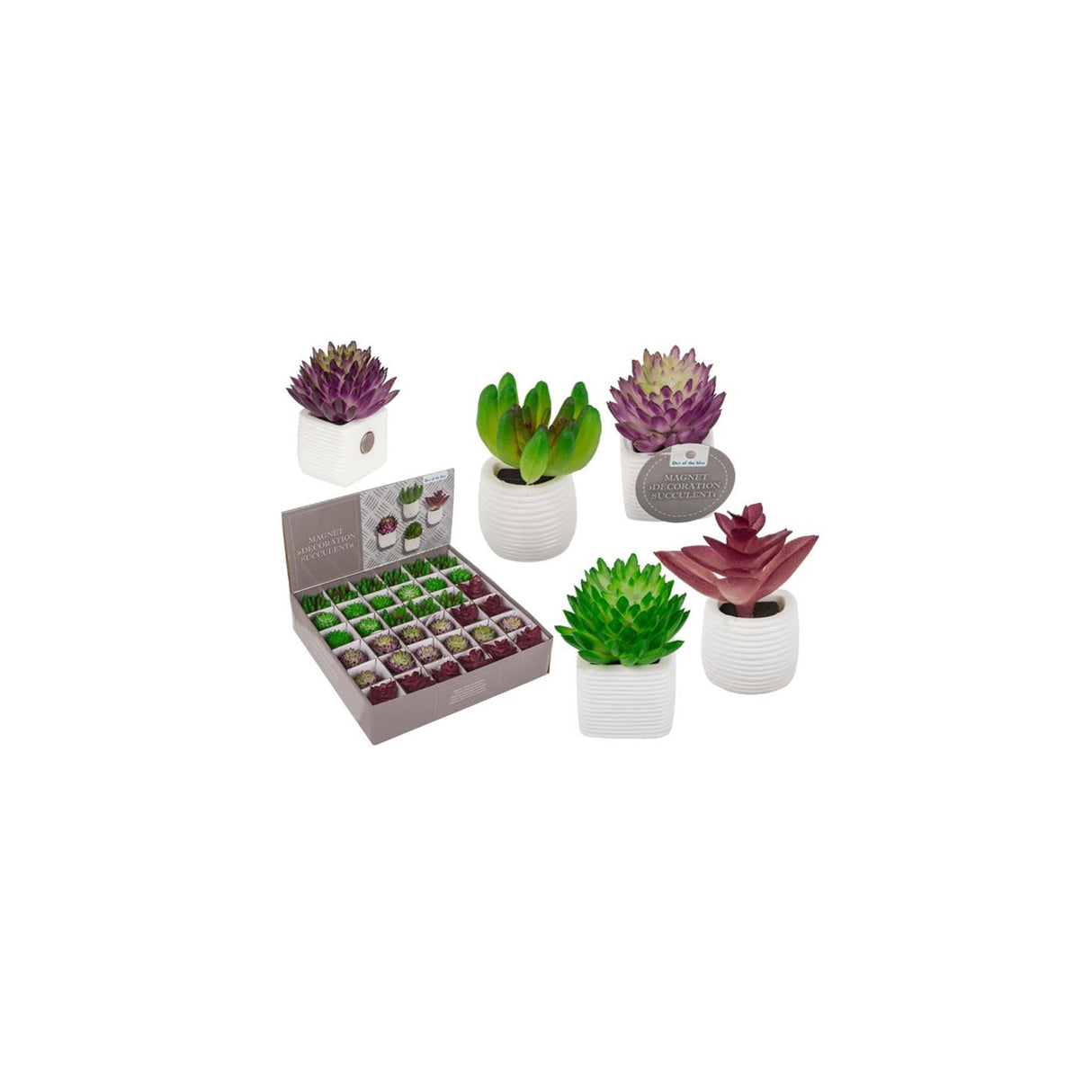 Ootb magnet sukkulent plante i potte 3x5cm 4 assorteret