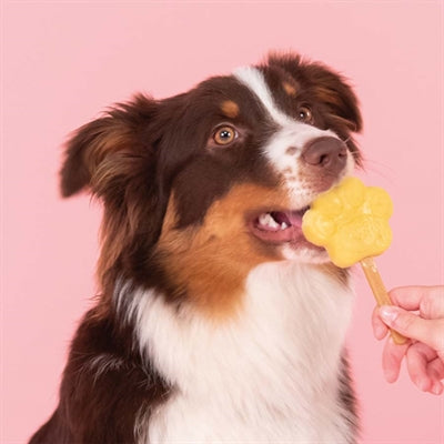 Smoofl Ice Mix til hunde Apple