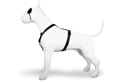 Morso hundesele h-sele genanvendt renhed sort