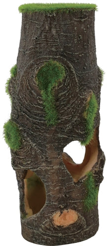 Zolux ornament træ stub voksende indretning