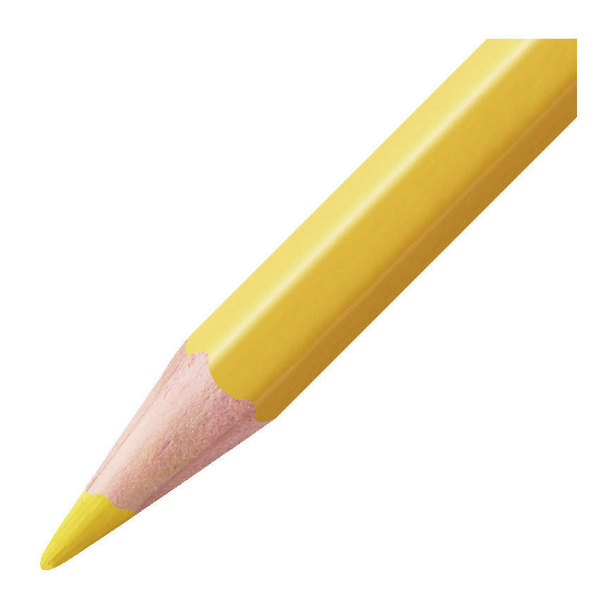 Stabilo aquacolor penalhus med 24 dele