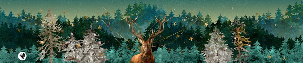 Rondo104 musik: deer (es wird sch gle