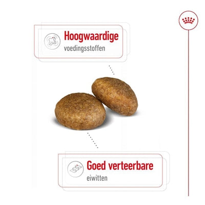 Royal Canin Maxi voksen