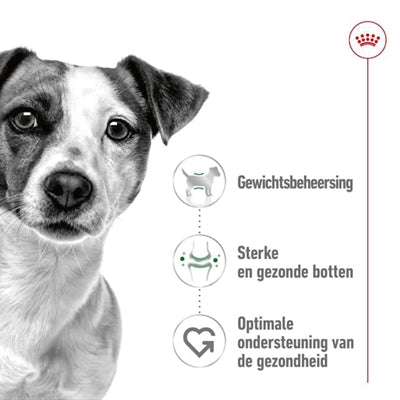 Royal Canin Mini voksen