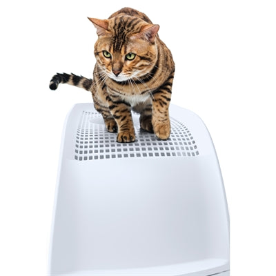 IMac Cat Litter Box Frida med skuffe lyseblå