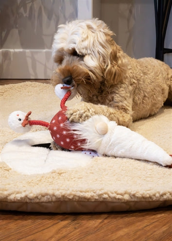 Amor komet gonk jul gnome greg