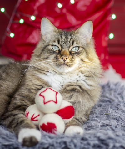 Amor komet uldne bolde