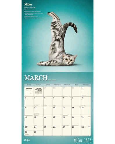 kalender yoga katte 2025