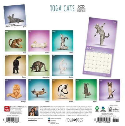 kalender yoga katte 2025