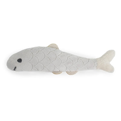 Battersea fanger dagligt fisk