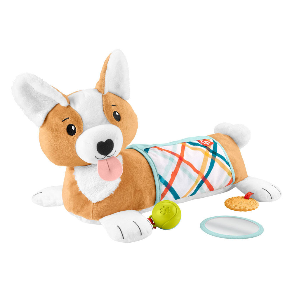 Fisher Price 3in1 Puppy Belly Lesterinde
