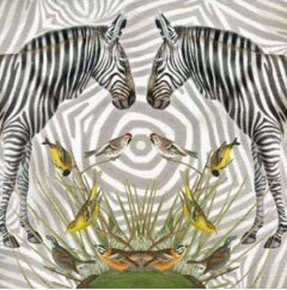 Kort+kuvert zebra. 16x16 cm