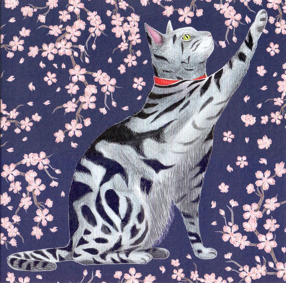 Kort+kuvert. sakura kitty. 16x16 cm