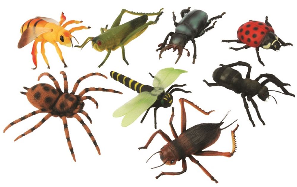 Large insects, 12 assorted. 15 cm. 3+