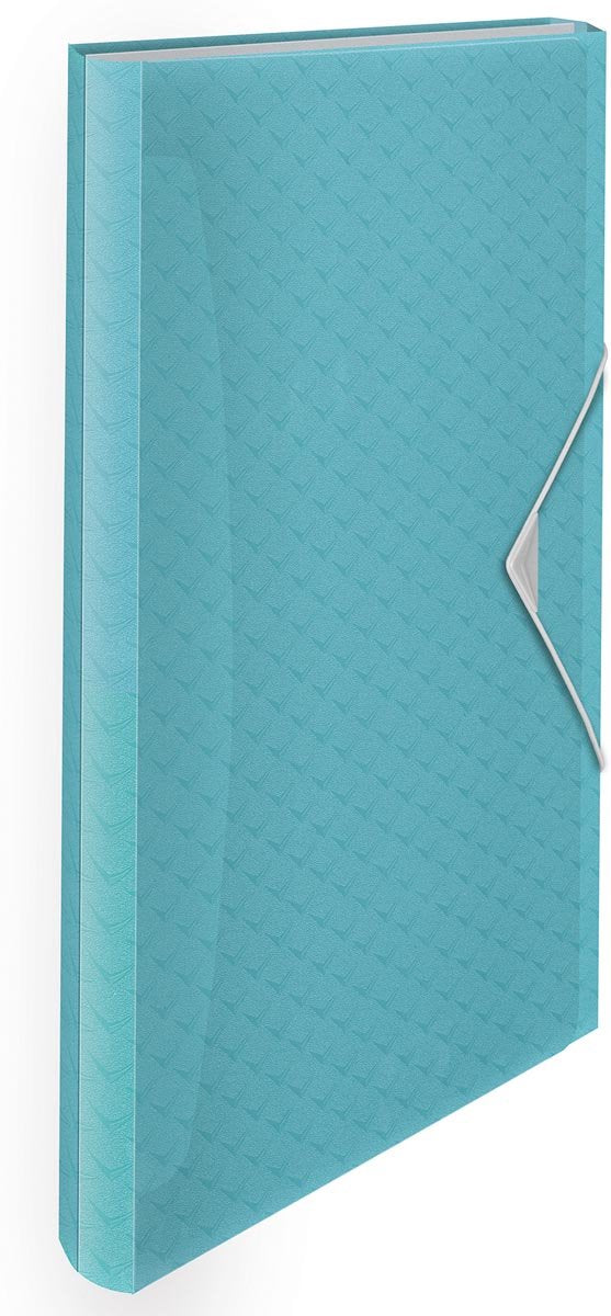Esselte colour'breeze a4 udvidelig projektmappe - organizer med 5 faner 6 rum - blå