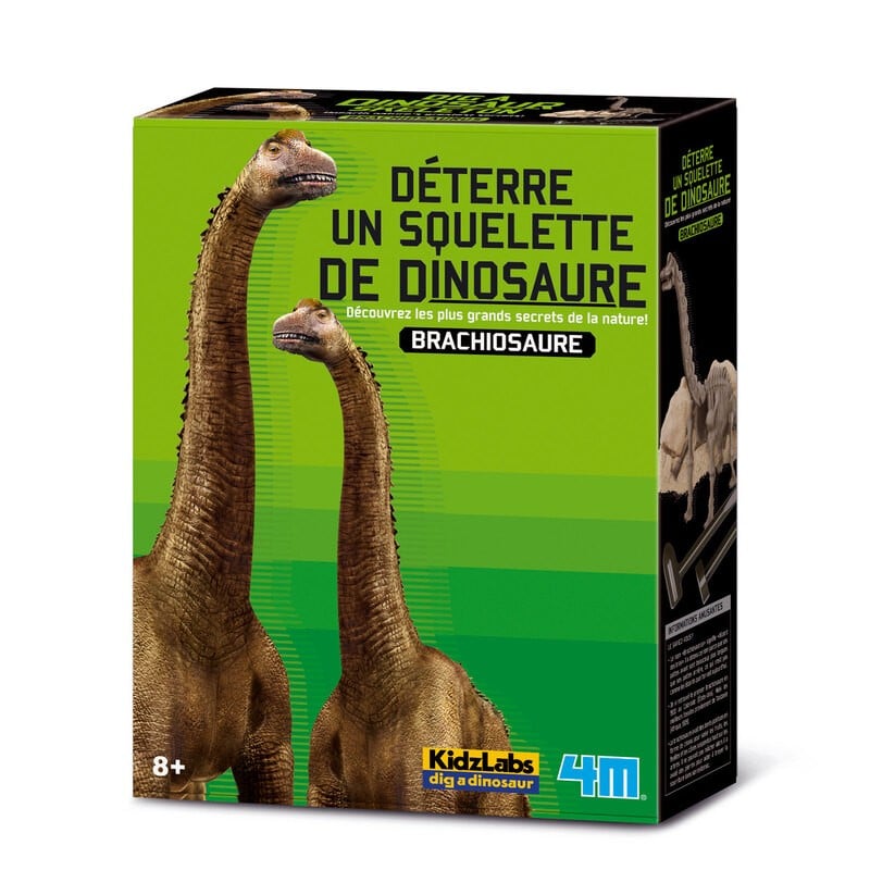 4m grave din dino op - brachiosaurus - udgravningssæt og modelskelet - kidzlabs - 7+