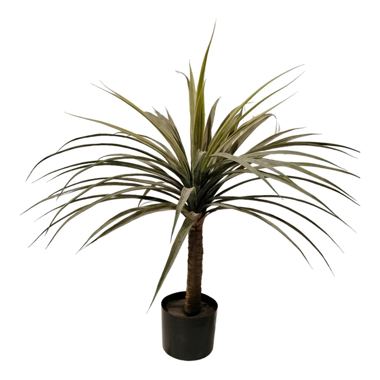 Palæ atmosfære kunstig plante dracaena 80cm