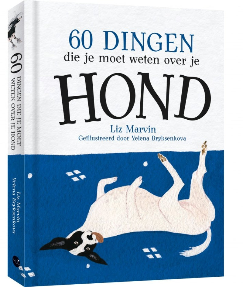 Mus 60 ting, du skal vide om din hund