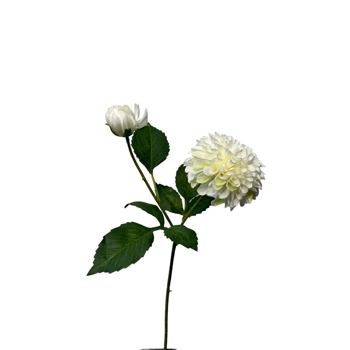 Roberts kollektion kunstig blomst dahlia 56cm hvid
