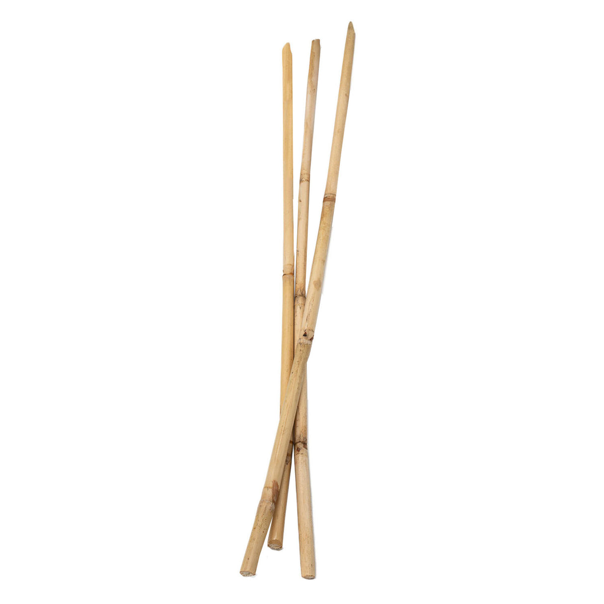 Farve - Bambus stikker 50 cm, 3 ..