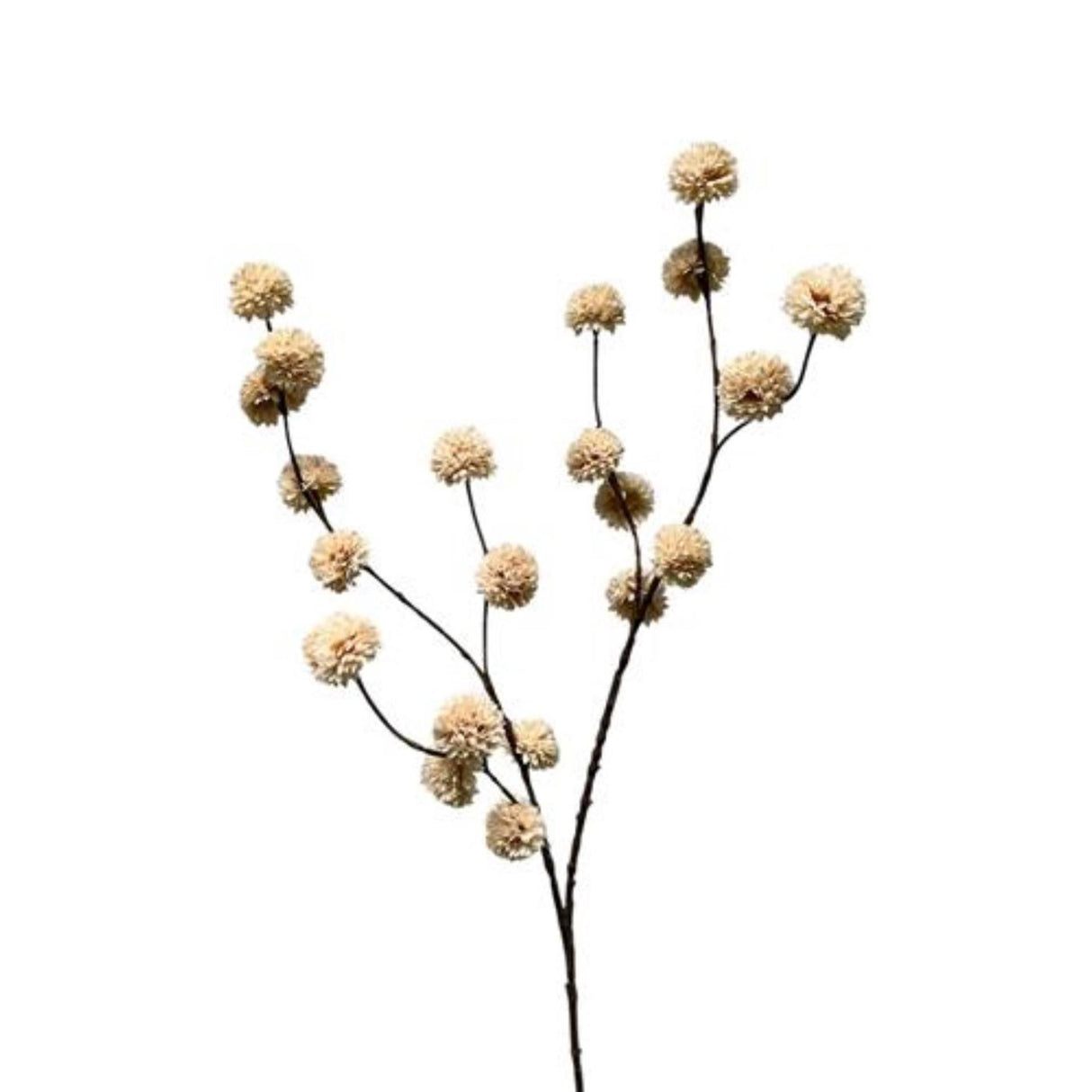 Roberts kollektion kunstig gren pompon creme 100cm