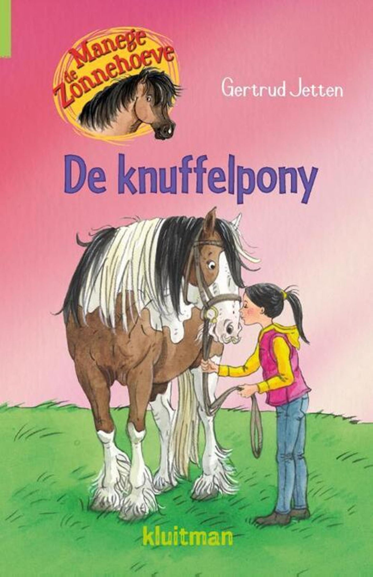 Kluitman rideskole den solrige gård - den kælne pony