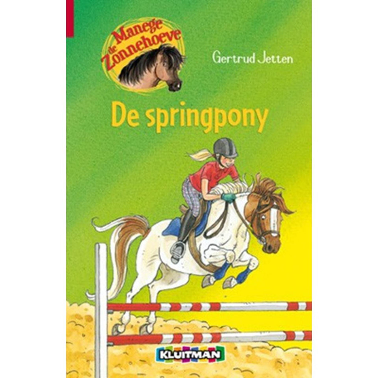 Kluitman rideskole De Zonnehoeve: springponyen