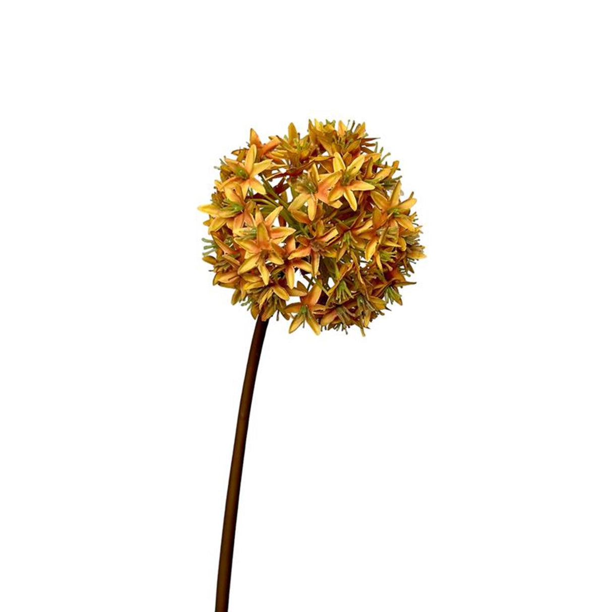 Roberts kollektion kunstig blomst allium løg 60cm okkergul