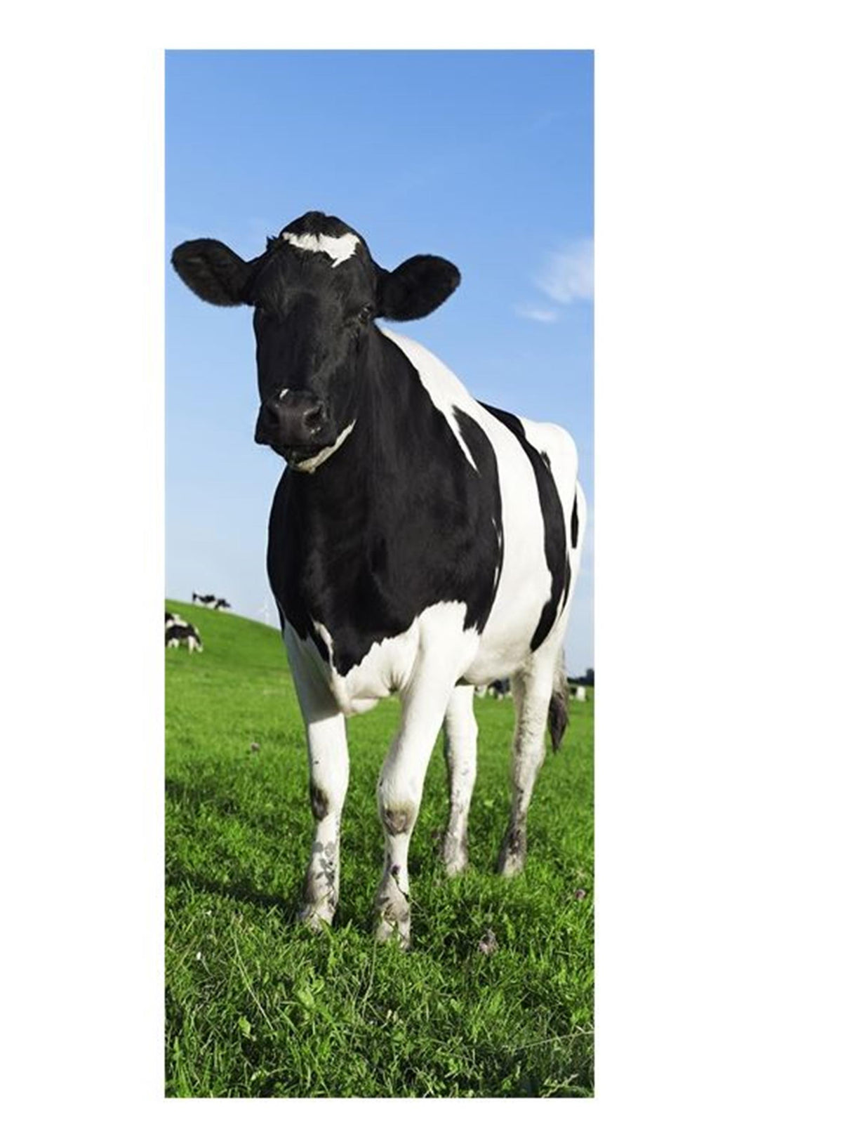 B-living banner cow bella 75x180cm