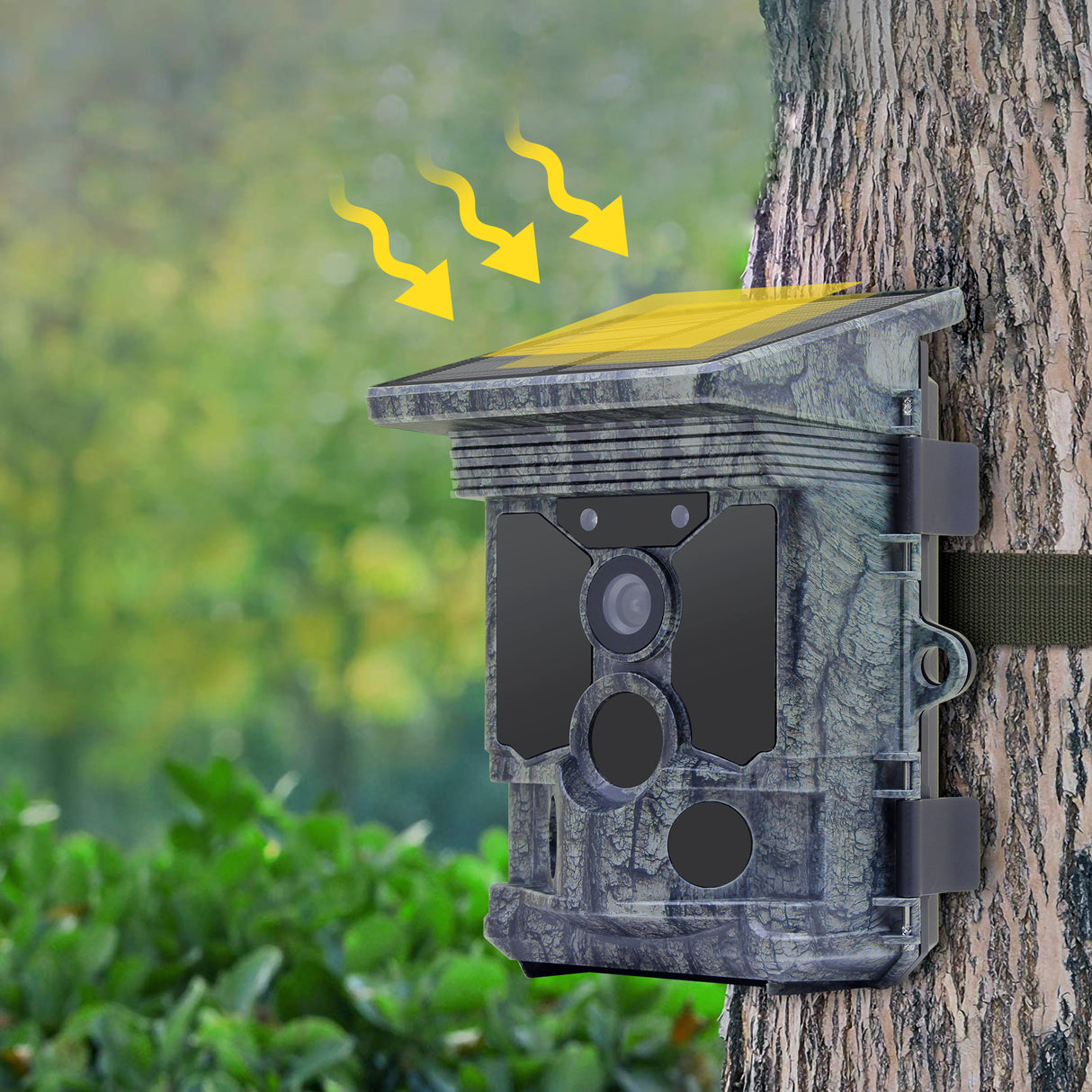 Stealth gear fox solar 4k wifi dyrelivskamera