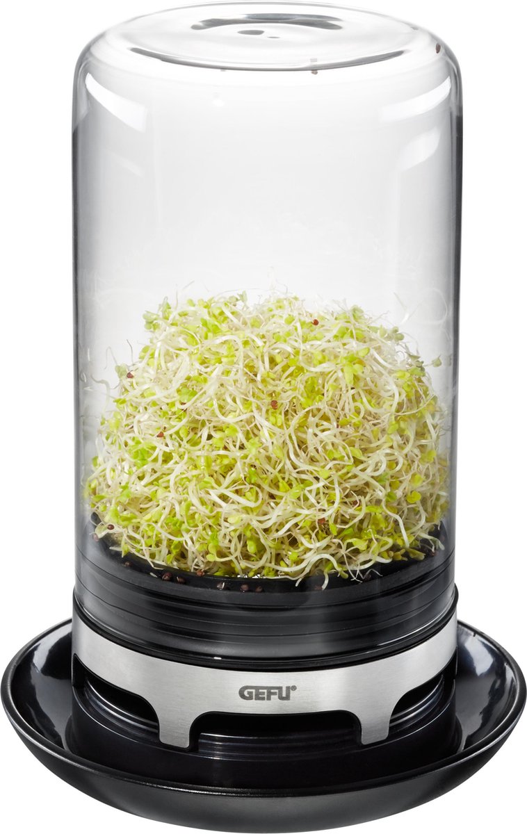 Gefu sprossenglas bivita® – friske spirer, der let dyrkes derhjemme