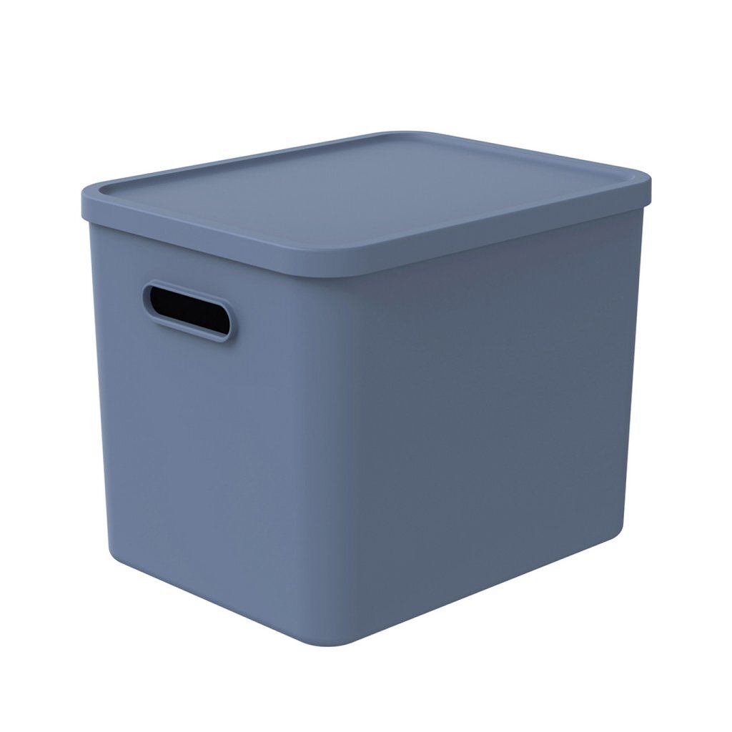 Rotho albula multiboks 29,5x29x37 cm 27l horisont blå