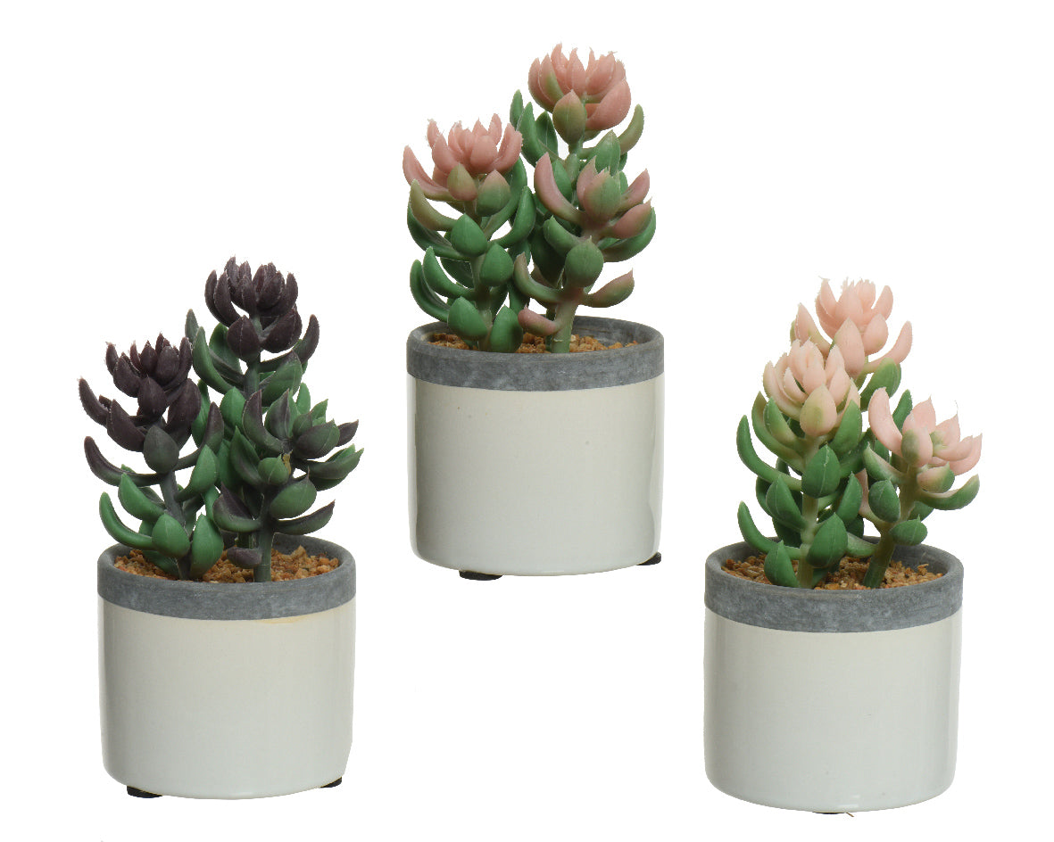 Decoris kunstig plante sukkulent plante i keramisk potte h14