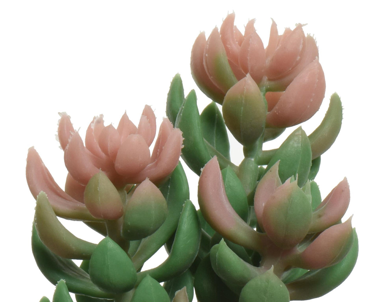 Decoris kunstig plante sukkulent plante i keramisk potte h14