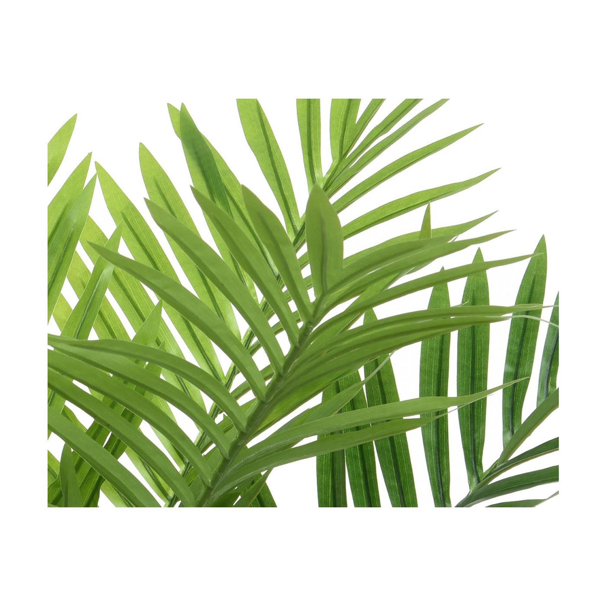 Decoris palmboom in pot plastic 61x61x73cm