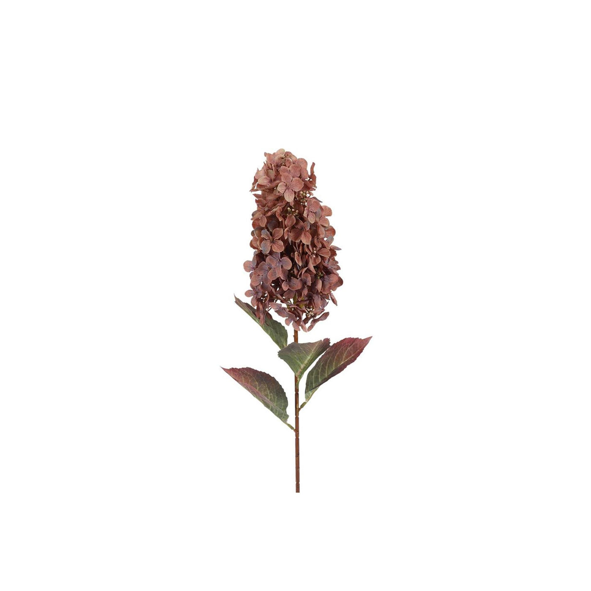 Countryfield kunstig blomst aletta paniculata hortensia kobber 14x23x83cm