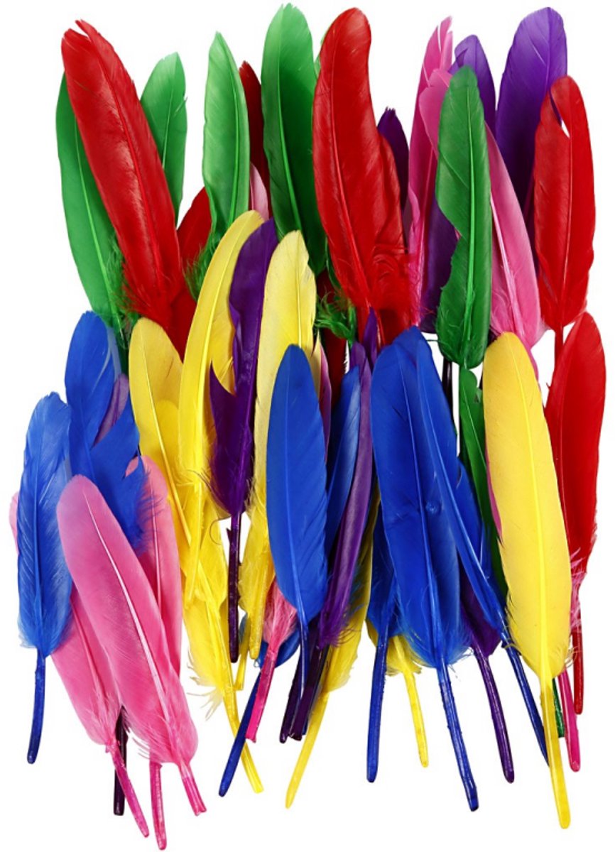 Creativ virksomhed https: www.cchobby.nl feathers-l-13-cm-various-colors-48-piece-1-box