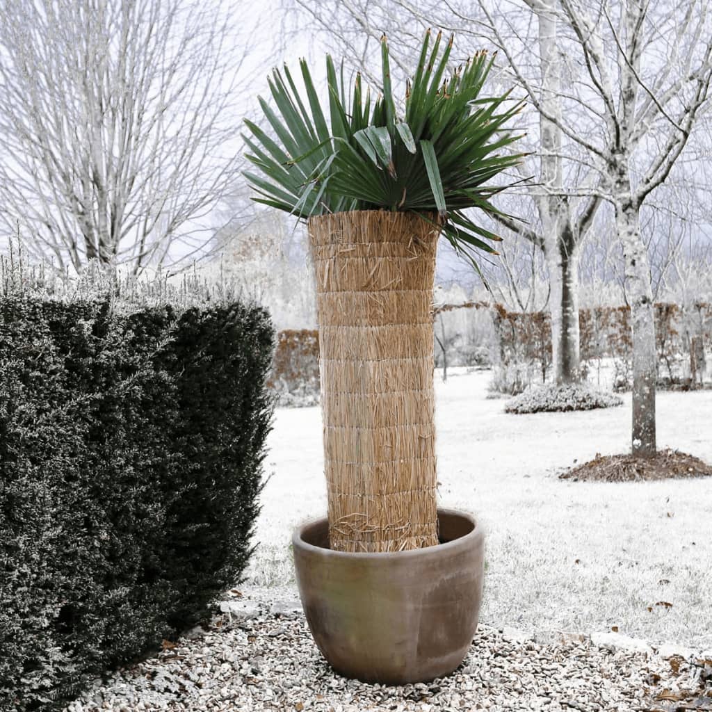 Nature vinter, der dækker ris Stro 1x1,5 m 6030105