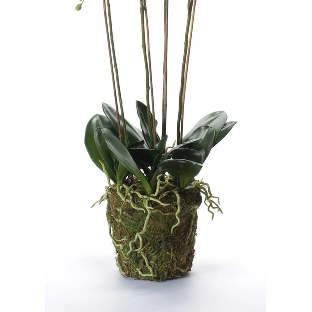 Emerald Art Plant Orchid med Moss White 90 cm 20.355