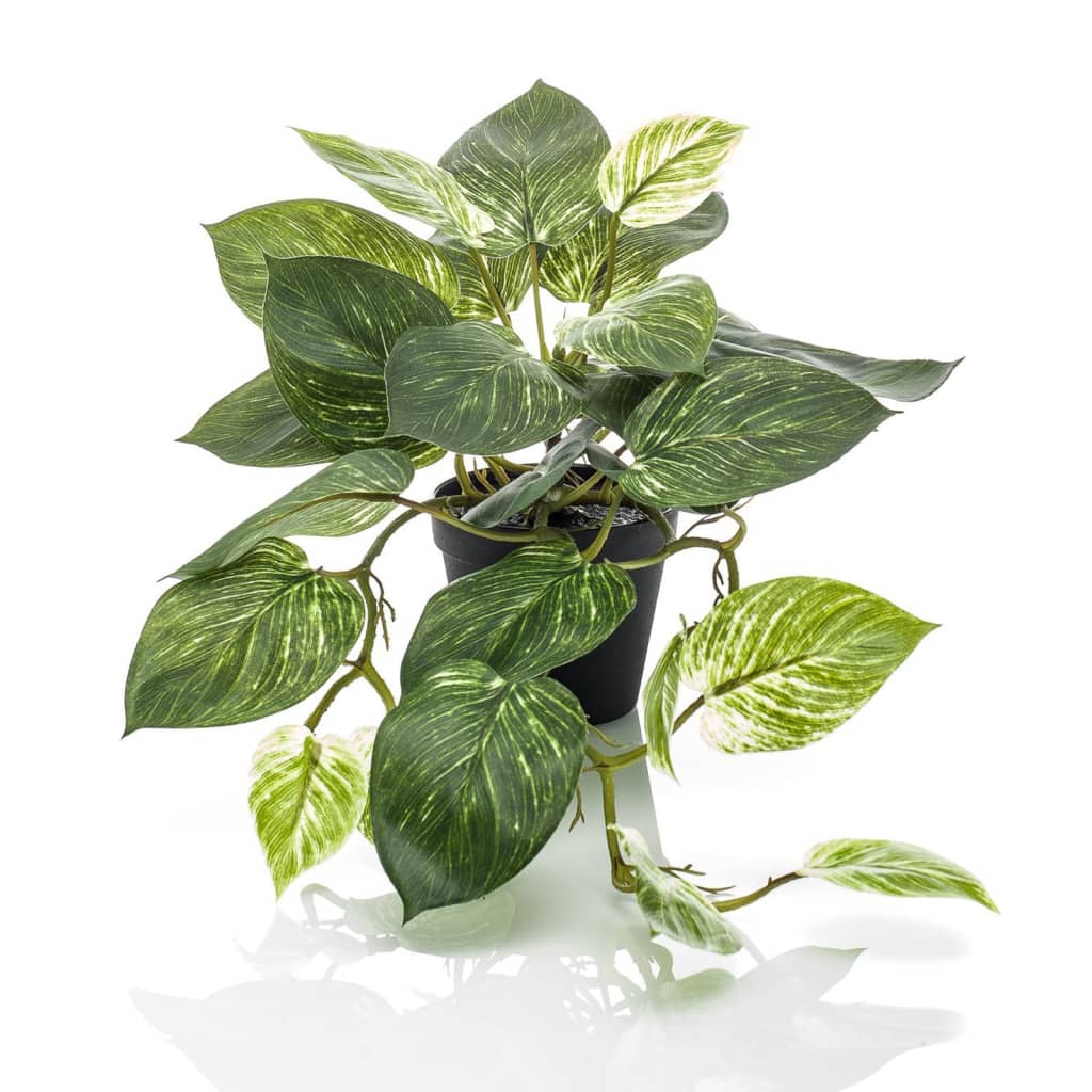 Emerald Art Plant i pot Scindapsus Struik 55 cm