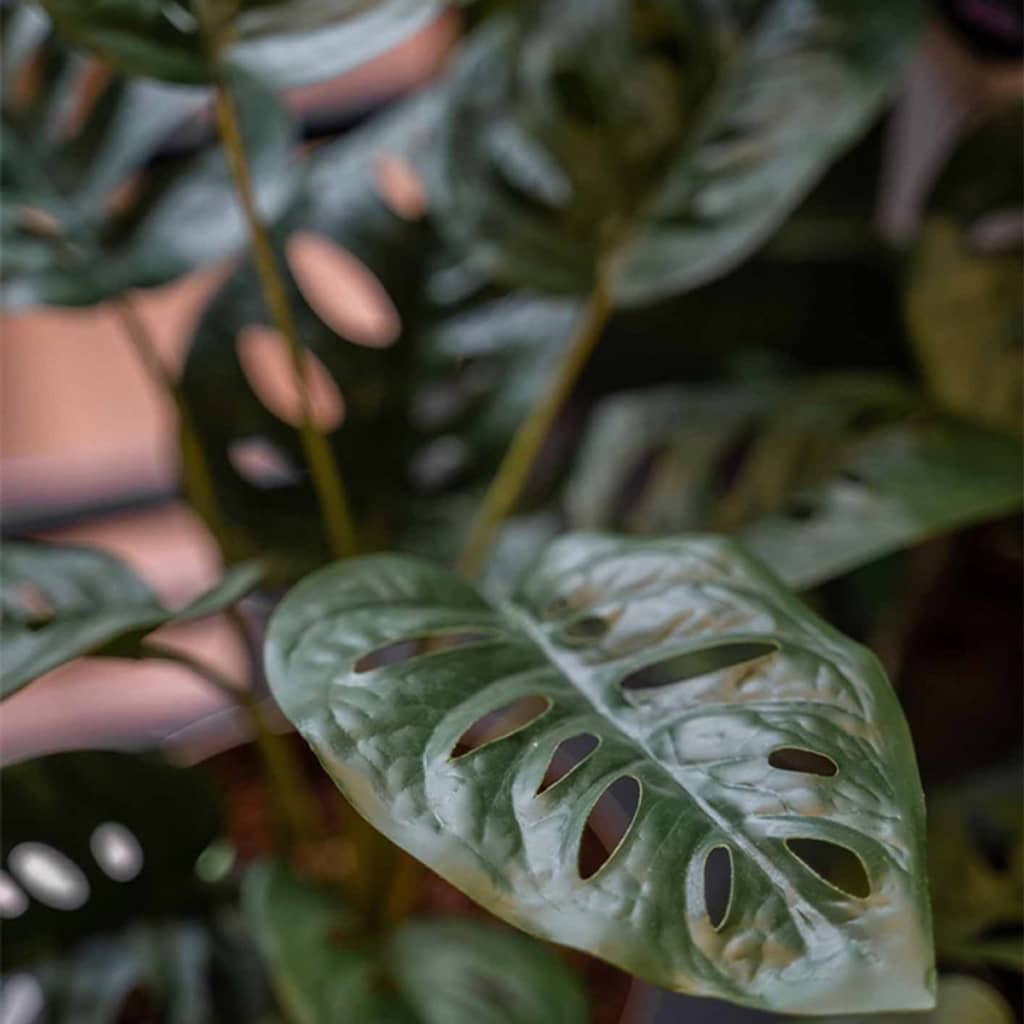 Emerald kunstanlæg i potte Monkey Monstera Struik 43 cm